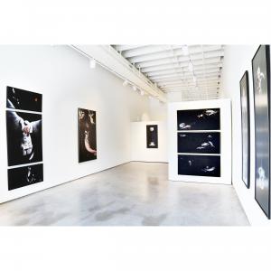 Exhibit by aberson showing paintings by Linda Cosgrove.  Featured art is black and white large scale scurrealistic paintings in black and white.