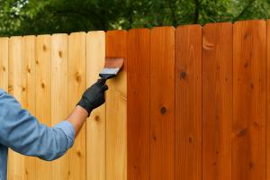 Close-up of a person applying reddish-brown semi-transparent stain to a wooden privacy fence using a paintbrush, demonstrating proper fence maintenance.