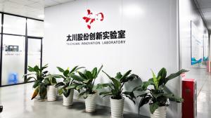leading China IP-based Vdp companies