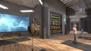 Virtual reality dojo environment in Tae Bo Reboot, featuring traditional Japanese architecture and a training space where players practice punches and kicks.