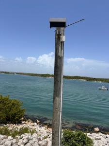 Sebastian Lighting 2