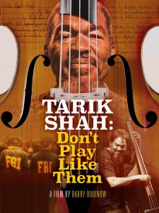Tarik Shah with bass strings posing as jail cell