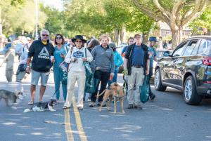 ARF Stroll to the Sea Dog Walk 2024 (Image credit: Lisa Tamburini)