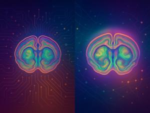 Two AI-generated brains overtop a network motif