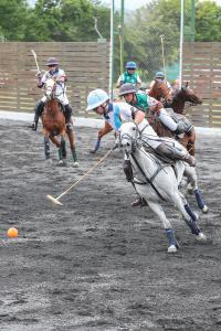 five polo players ride on horseback