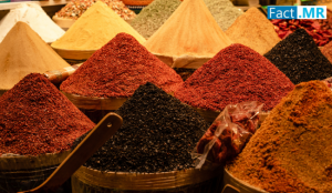 Onion Skin Antioxidant Powder Market