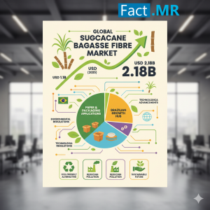 Sugarcane Bagasse Fibre Market