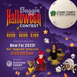 Buggin' Halloween Contest - Enter to win