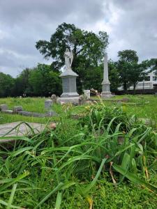 The beautiful history of Olivewood is deeply tied to Houston, Texas