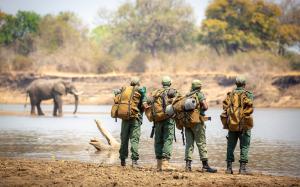 African rangers watch an elephant by a slow-flowing river