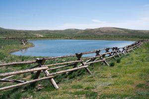 Three Ponds Supporting Diverse Wildlife