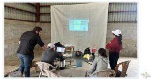 Training session with coffee producers in Guatemala. A group of people sit around a table with laptops while a presentation is projected on a white screen, showing how integrated platforms like Silosys, Trumodity, Seed Audit, and HarvX bring efficiency, t