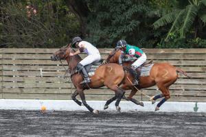 two arena polo players on horses