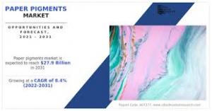 Paper Pigments Market, by Type