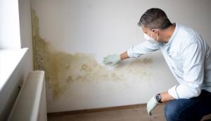 licensed home inspection