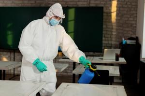 mold inspection