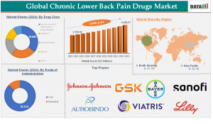Chronic Lower Back Pain Drugs Market Size