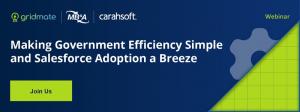 Making Government Efficiency Simple and Salesforce Adoption a Breeze