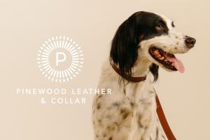 Pinewood Leather & Collar (Logo)