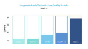  Chart showing giraffe, elephant, gorilla, blue whale, and human with low DIAAS protein diets.