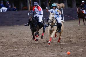 two arena polo players on horses during international arena polo competition