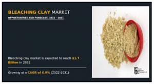 Bleaching Clay Market Overview