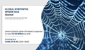 Synthetic Spider Silk Market, by Technology