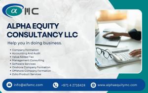Alpha Equity Consultancy LLC - Accounting Services In Dubai