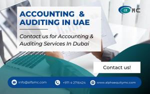 Alpha Equity Consultancy LLC - Accounting & Auditing Services In Dubai