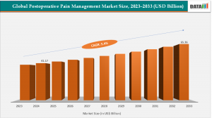 Postoperative Pain Management Market