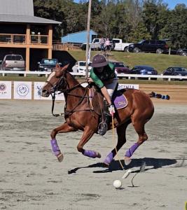 an arena polo player from Pakistan hits the ball from atop a beautiful horse