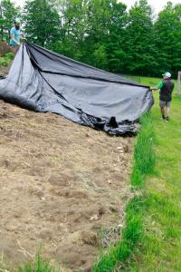 A gardener lifts a tarp from a smothered lawn, revealing soil ready for planting. This method uses time and natural processes to simplify spring garden prep.