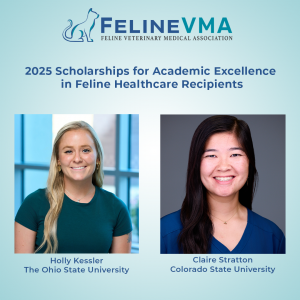 Photos of the 2025 Merck Scholarship recipients on a blue background.