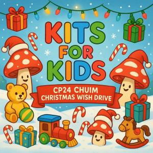 gta toy drive with cp24