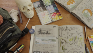 Nature paintings and sketches with diagrams, notes, and samples of plant material