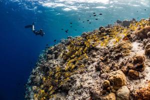 The Westin Maldives Miriandhoo Resort