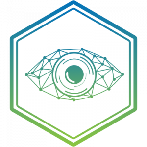 Mega eye logo of eye in hexagon with network
