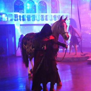 Red Arabian horse on stage