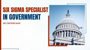 Six Sigma Certification in Government