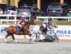 two arena polo players vie for the ball
