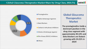 Glaucoma Therapeutics Market By Drug Class