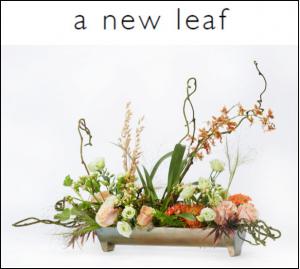 A New Leaf trend style features plants, dried botanicals and flowers