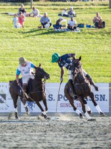 two arena polo players vie for the ball