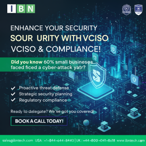 vCISO Services