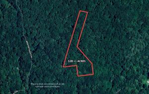 Pristine Recently Renovated Mountain Home on 3 +/- Acres, Wooded Building Lot on 3.1 +/- Acres &  Barn/Potential Residence Near Shenandoah National Park Set For Auction Announces Nicholls Auction Marketing Group