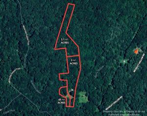 Pristine Recently Renovated Mountain Home on 3 +/- Acres, Wooded Building Lot on 3.1 +/- Acres &  Barn/Potential Residence Near Shenandoah National Park Set For Auction Announces Nicholls Auction Marketing Group