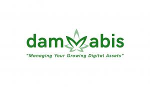 The dammabis team will review a cannabis company's digital media content and recommend how to best manage those assets.