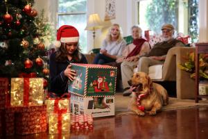 A still shot of Birdfy's Christmas commercial