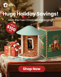 Christmas packaging for Birdfy Feeder 1