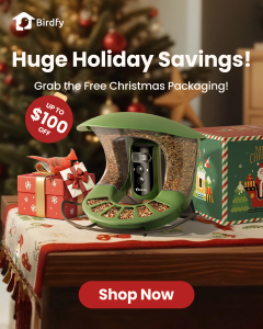 Christmas packaging for Birdfy Feeder 2 Pro